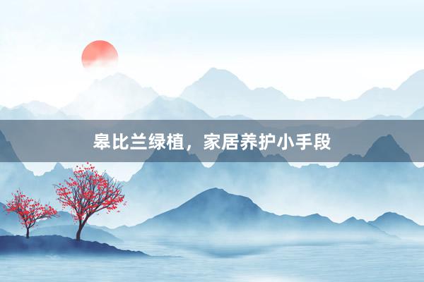 皋比兰绿植，家居养护小手段