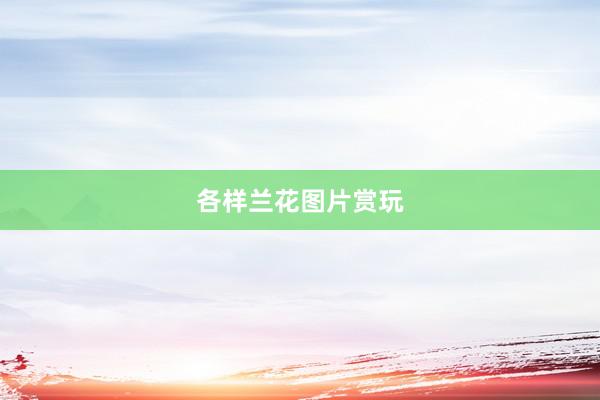 各样兰花图片赏玩